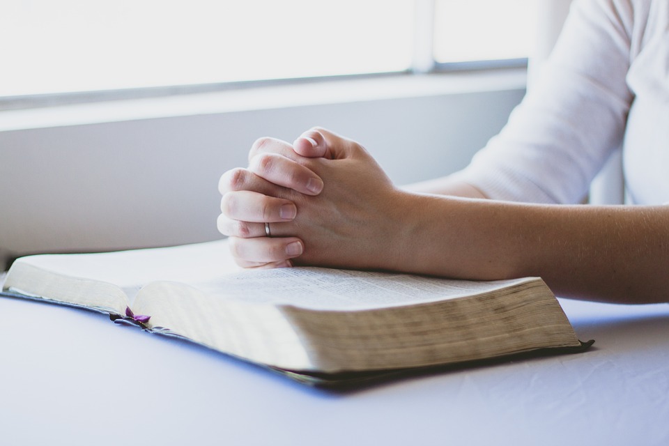 Biblia în fiecare zi